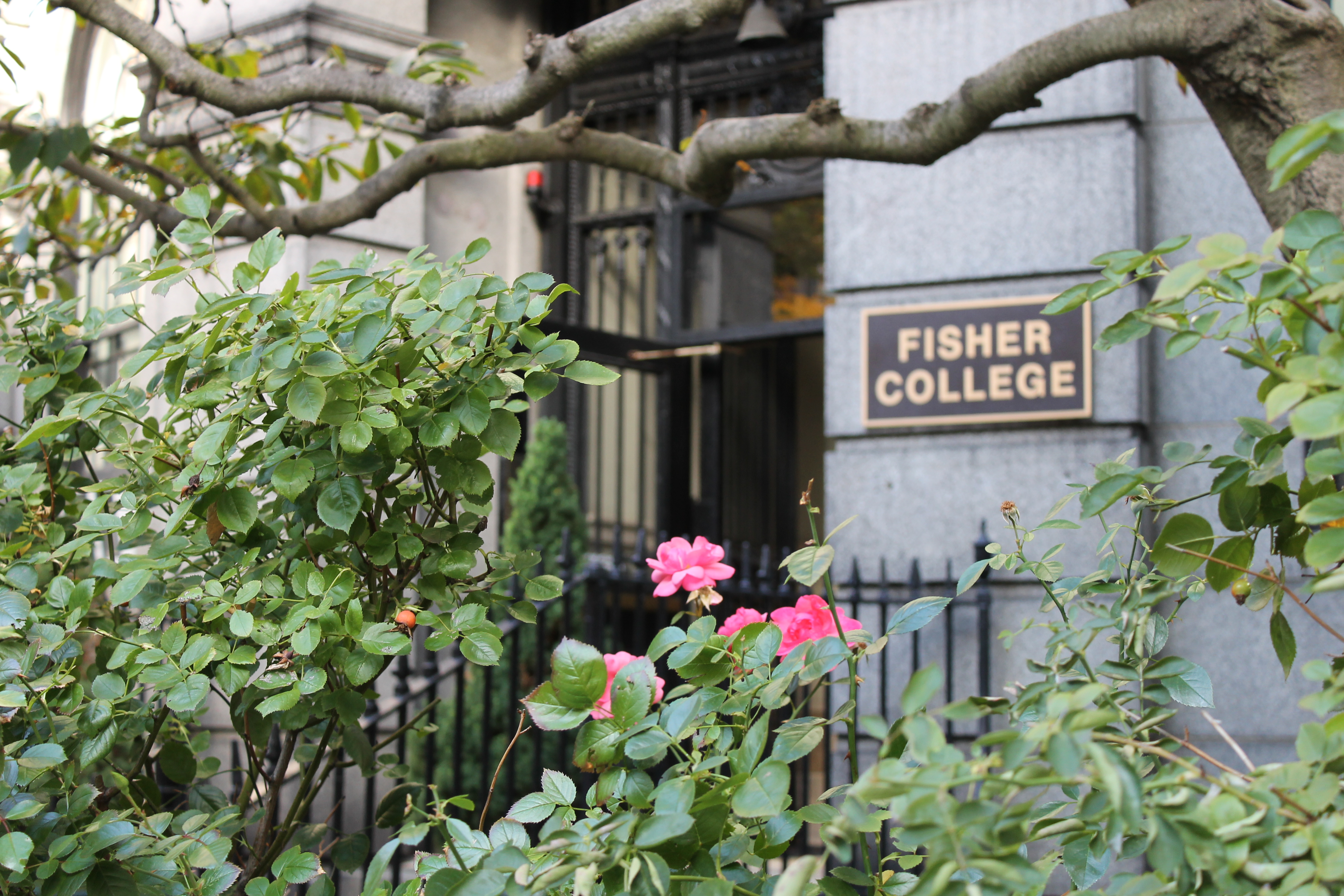 Fisher College Entrance with the Cherry Blossoms